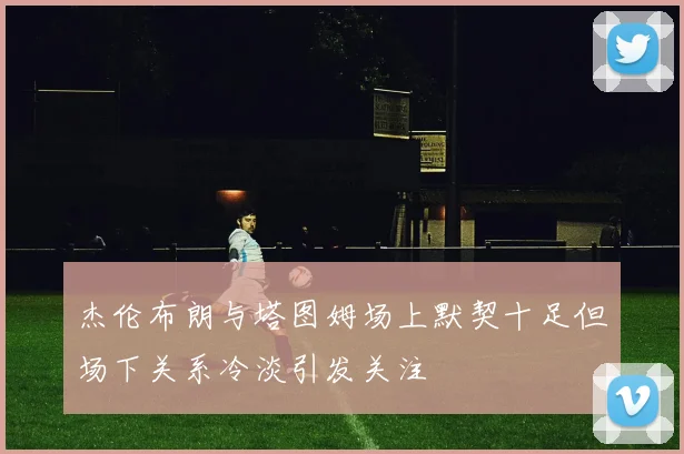 杰伦布朗与塔图姆场上默契十足但场下关系冷淡引发关注